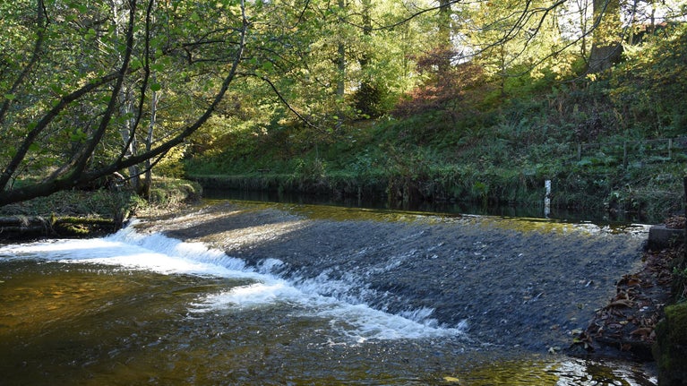 Water flowing over the weir on Crowdundle Beck at Acorn Bank, Cumbria